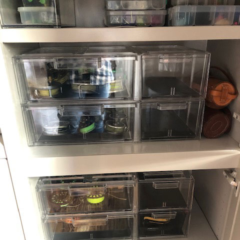 home organization
